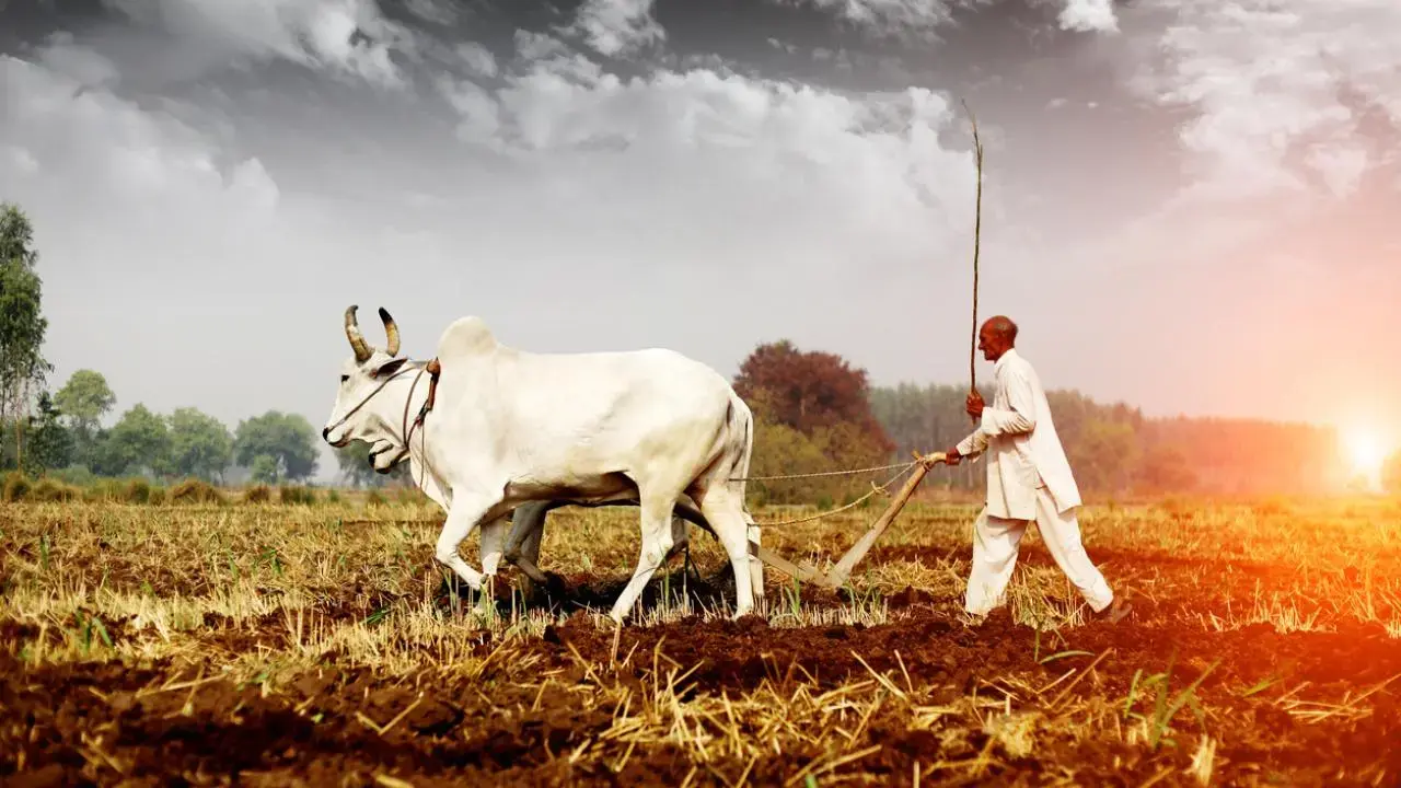 'Rs 6 credited to farmer was interest, not government crop loss aid'