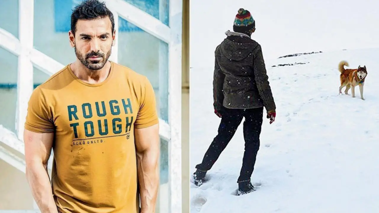 IFFI 2025: John Abraham`s documentary on indie dogs to premiere at the festival