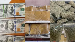 Mumbai Customs seizes drugs, gold and currency worth Rs 32 crore at CSMIA