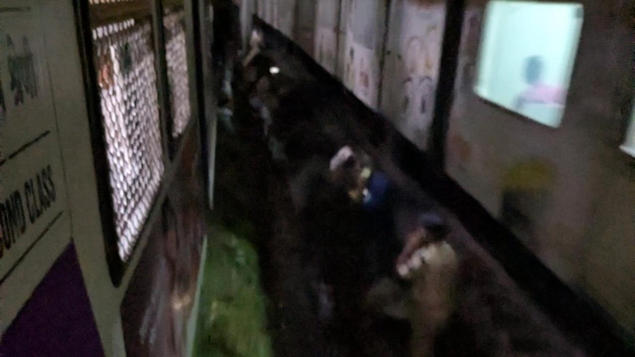 The group was walking along the tracks when a train approached, and they were unable to move away in time, sources said