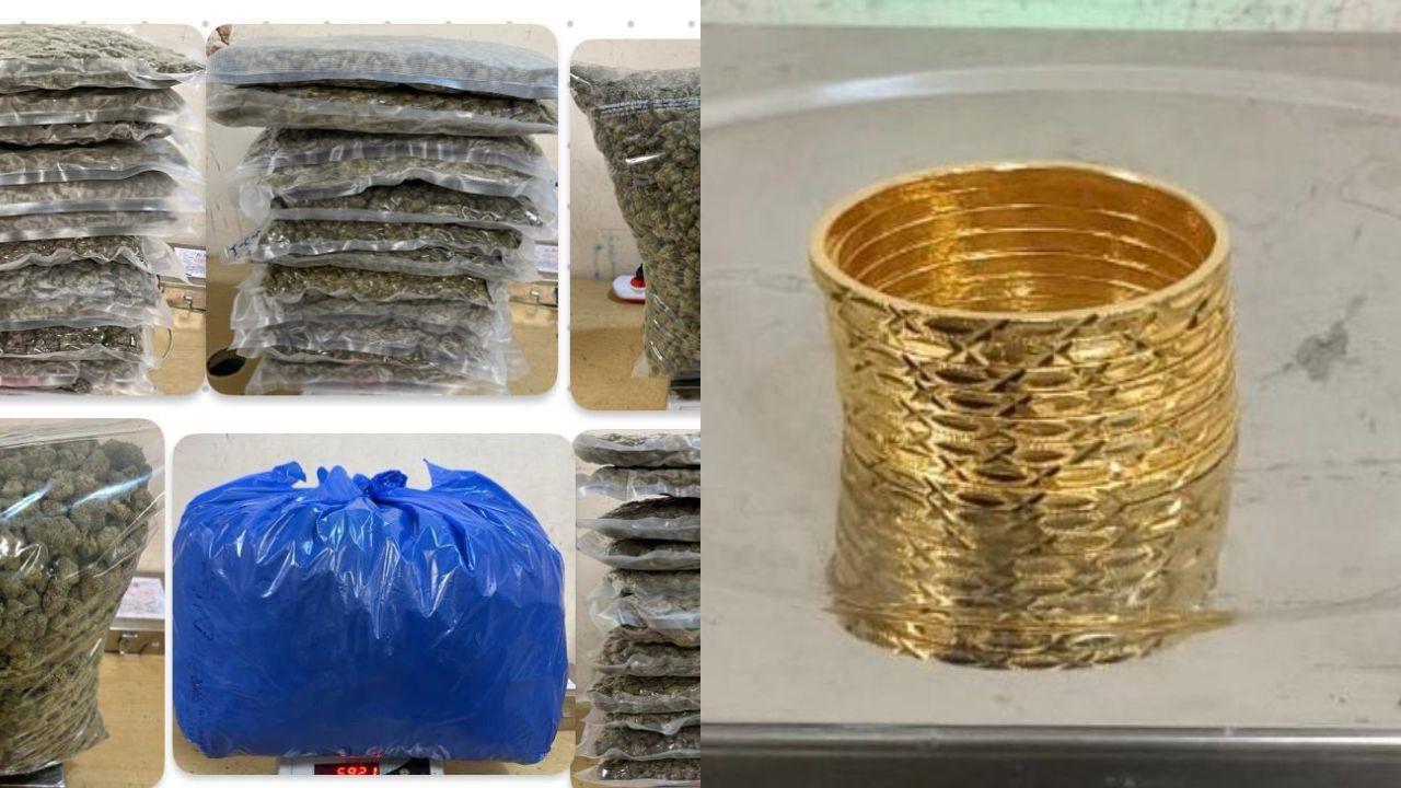 Mumbai Customs seizes over 17 kg of hydroponic weed from Bangkok passengers