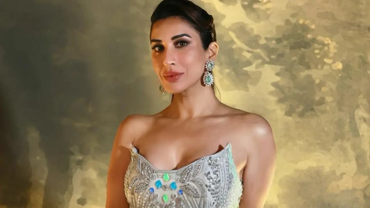 Sophie Choudry shuts down troll claiming she has no work in Bollywood Sophie Choudry shuts down troll claiming she has no work in Bollywood
