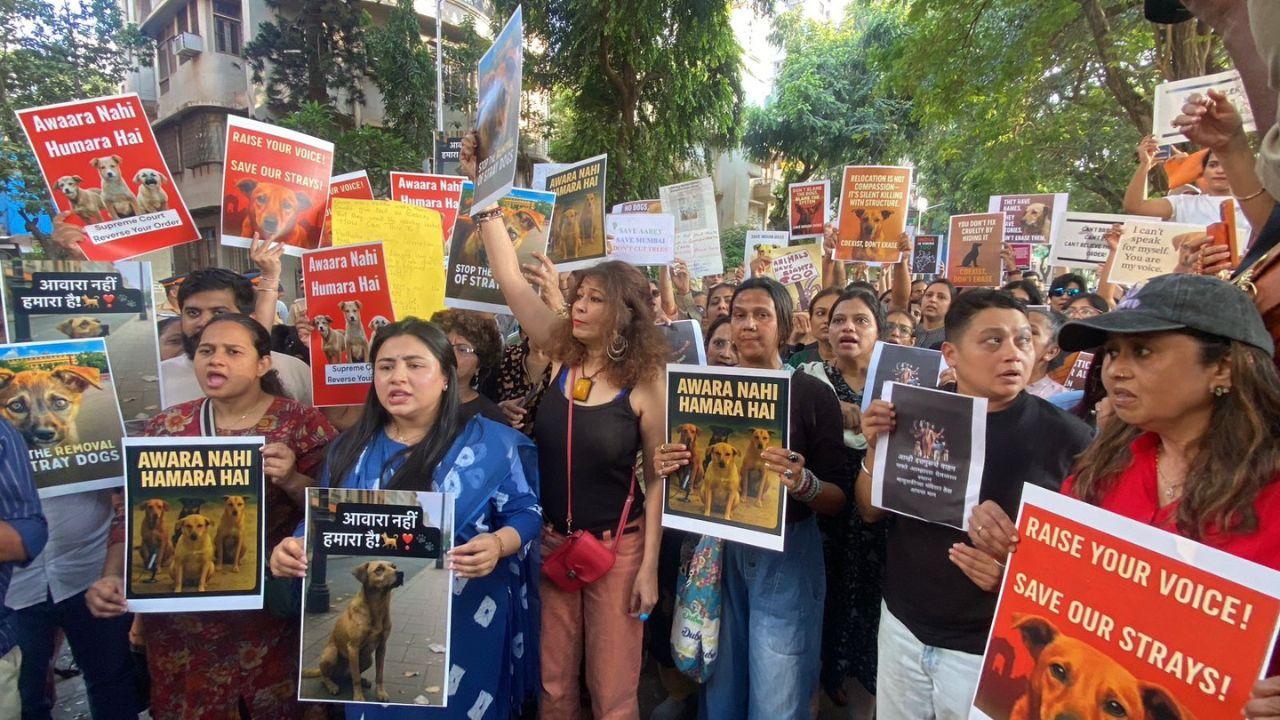 <p>The Bench instructed municipal bodies to carry out the removal and asked every covered institution to appoint a nodal officer to ensure cleanliness and prevent stray dogs from entering the premises</p> <p>The Bench instructed municipal bodies to carry out the removal and asked every covered institution to appoint a nodal officer to ensure cleanliness and prevent stray dogs from entering the premises</p>