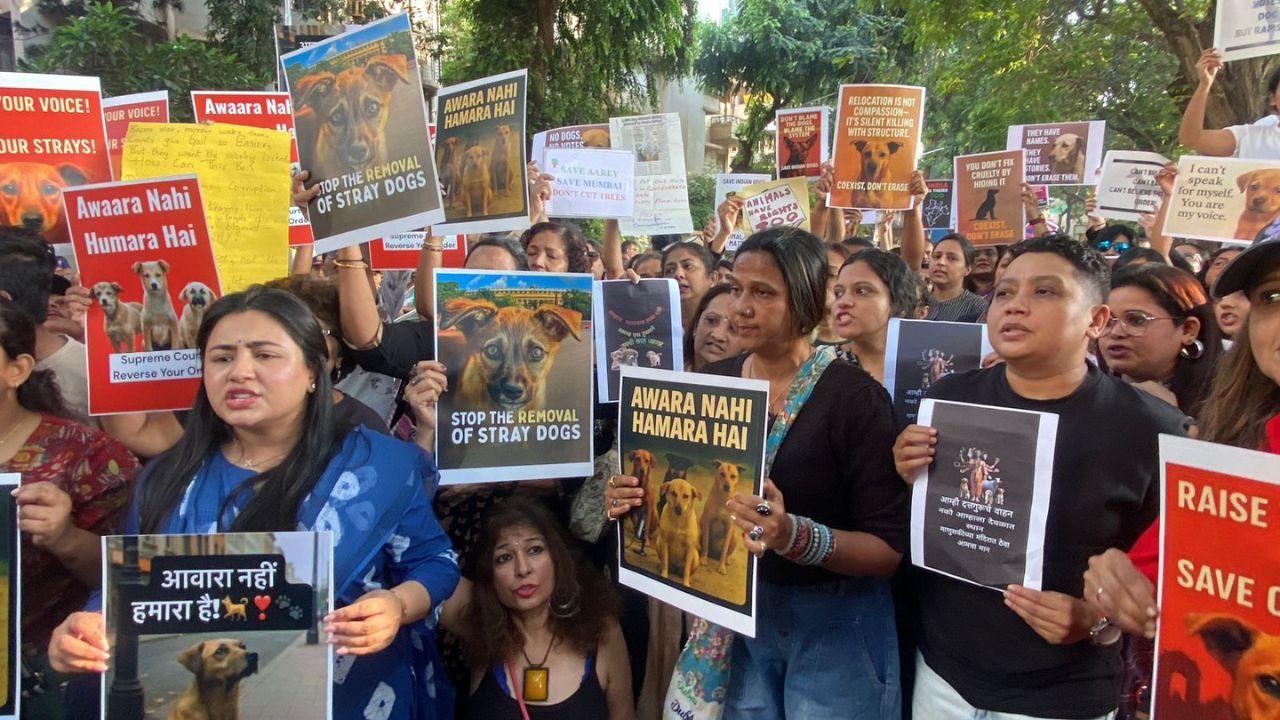 <p>Earlier, a Bench of Justices J. B. Pardiwala and R. Mahadevan had taken suo motu cognisance of a report titled “City Hounded by Strays, Kids Pay Price”, prompting authorities in Delhi, Noida, Ghaziabad, Gurgaon and Faridabad to begin picking up strays and moving them to shelters</p> <p>Earlier, a Bench of Justices J. B. Pardiwala and R. Mahadevan had taken suo motu cognisance of a report titled “City Hounded by Strays, Kids Pay Price”, prompting authorities in Delhi, Noida, Ghaziabad, Gurgaon and Faridabad to begin picking up strays and moving them to shelters</p>