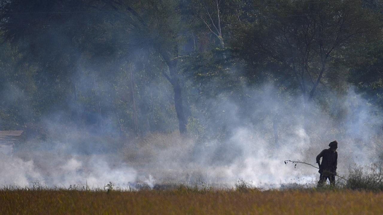 Air pollution persists in Haryana and Punjab, AQI readings show poor levels