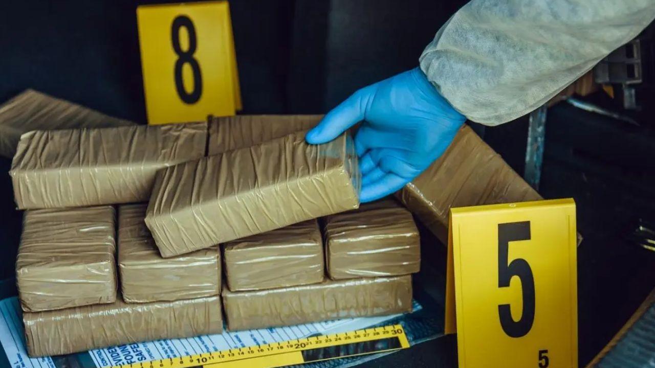 Rising drug threat: Expert flags Golden Triangle across India B'desh and Burma