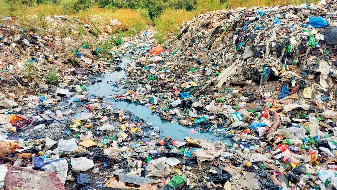 Mid-Day impact: Cheeta Camp creek stretch buried in waste; cleanup promised