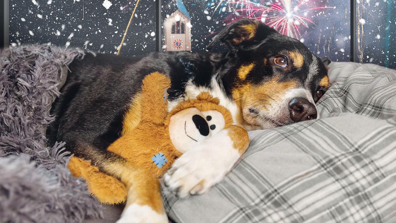 REPRESENTATION PIC/ISTOCK