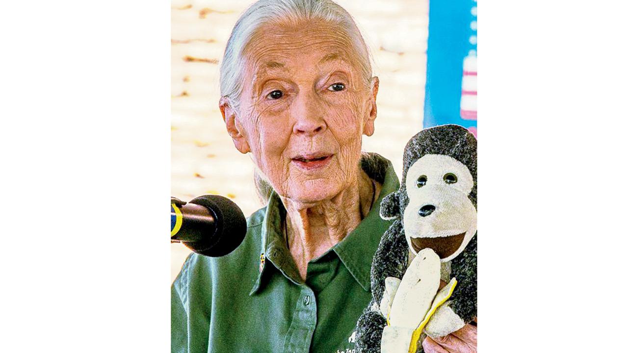 Celebrate renowned primatologist Jane Goodall's life with these recommendations