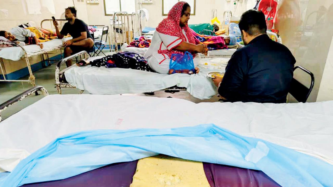 The same bed photographed on July 17