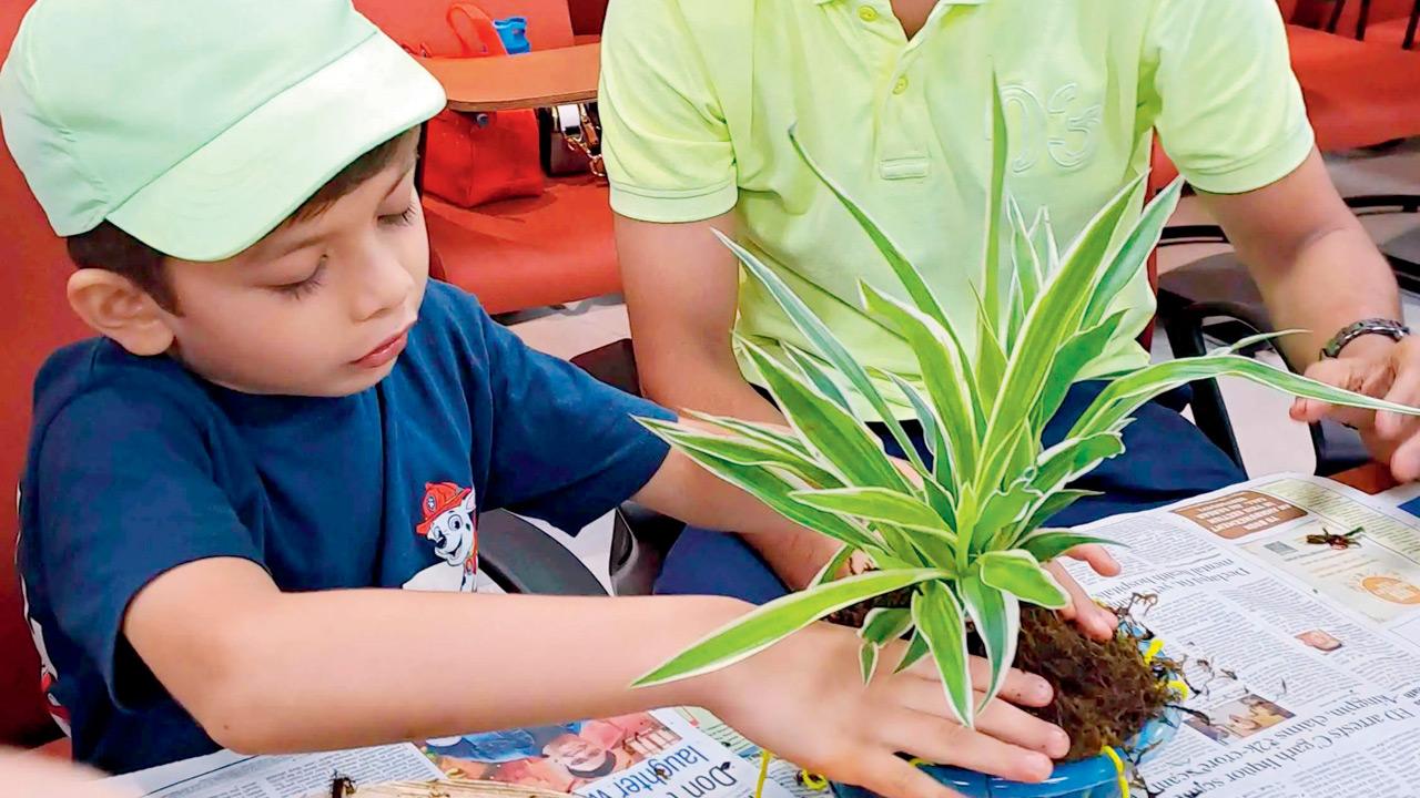 A participants moulds a kokedama. PIC COURTESY/NATURALIST EXPLORERS