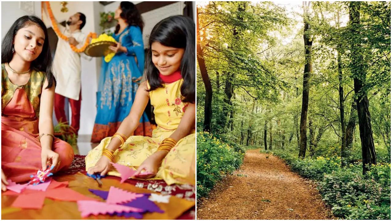 Amid Diwali celebrations, there is a lot to do in Mumbai this week. Photos Courtesy: File pic
