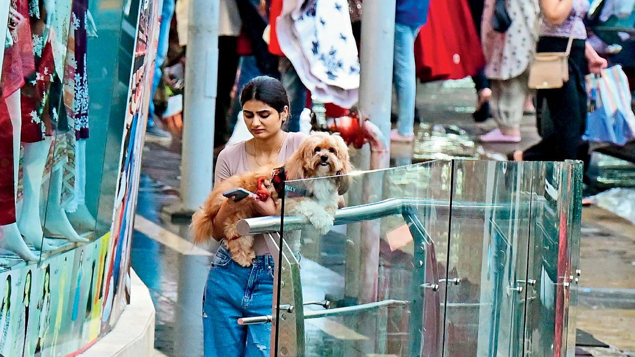 Mumbai Diary: Monday Dossier