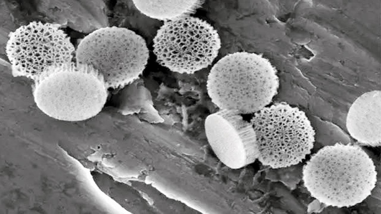 Scientists make electricity with water, pressure