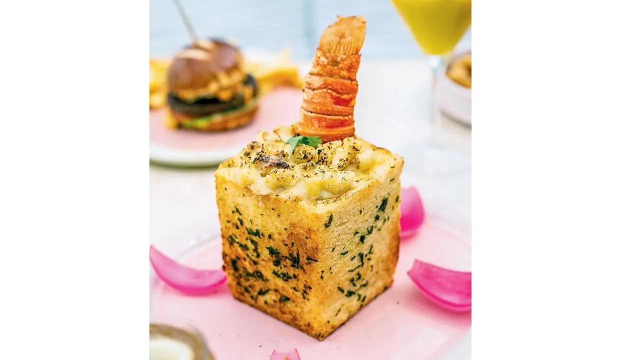 Straight from the seaIf the regular Mac n Cheese is not for you, try this lobster variant that comes stuffed within an in-house garlic herb loaf.At Brunch & Cake, Ground floor, Raheja Altimus, Worli.Call 8657500061Cost Rs 2450 onwards