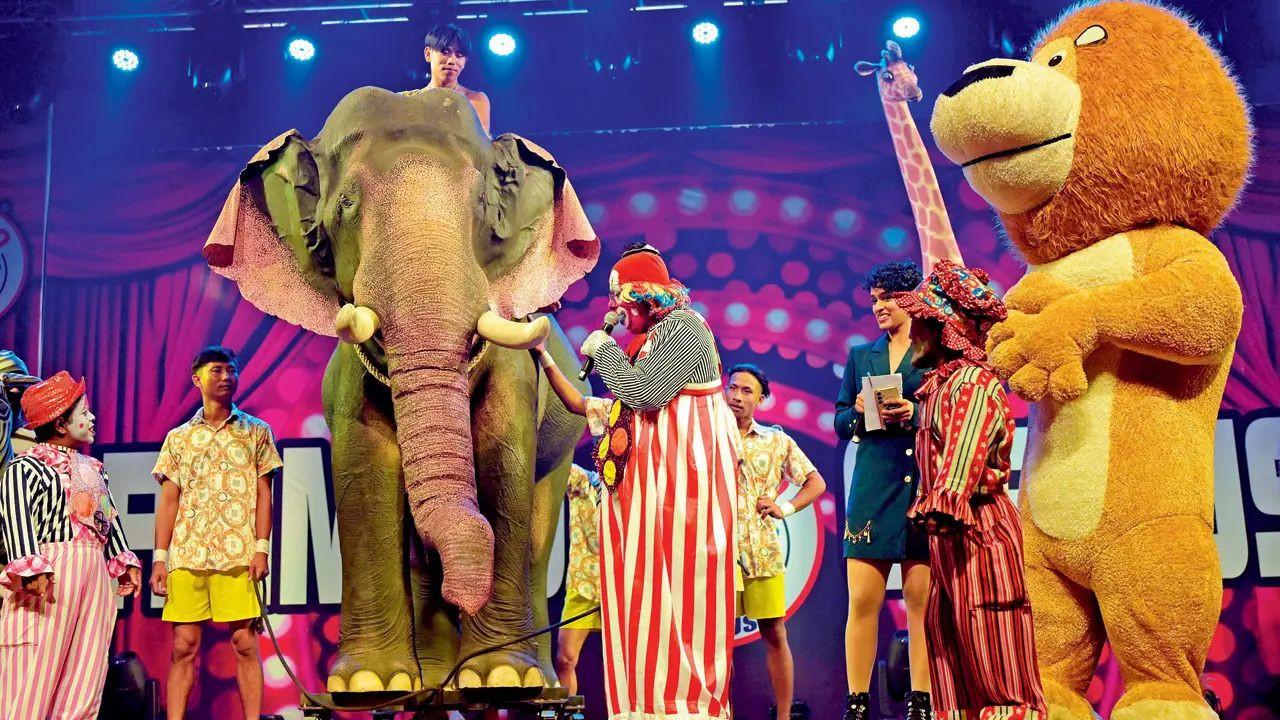 After years of declining interest in traditional circuses, the tide seems to be turning — thanks to innovation, comfort, and a touch of nostalgia. PICS/ KIRTI SURVE PARADE