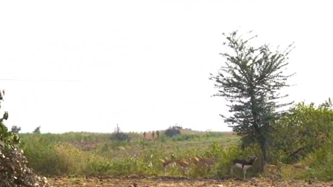 India implementa la técnica Boma por primera vez para reubicar billetes negros en MP