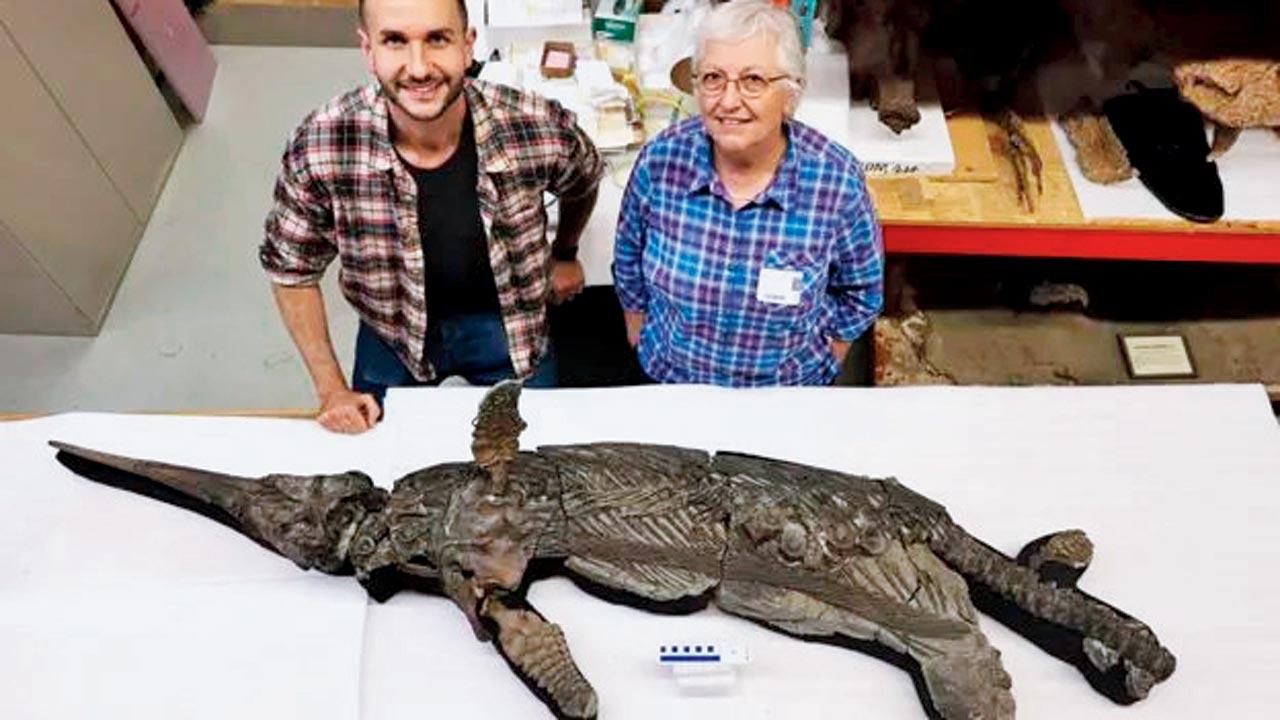 New species of ancient marine reptile discovered from rare UK fossil find