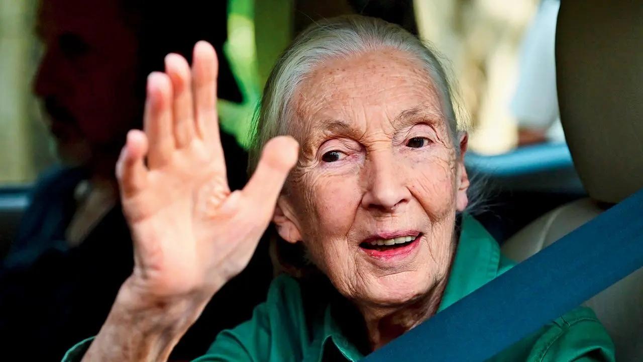 Renowned wildlife conservationist Dr Jane Goodall dies at 91
