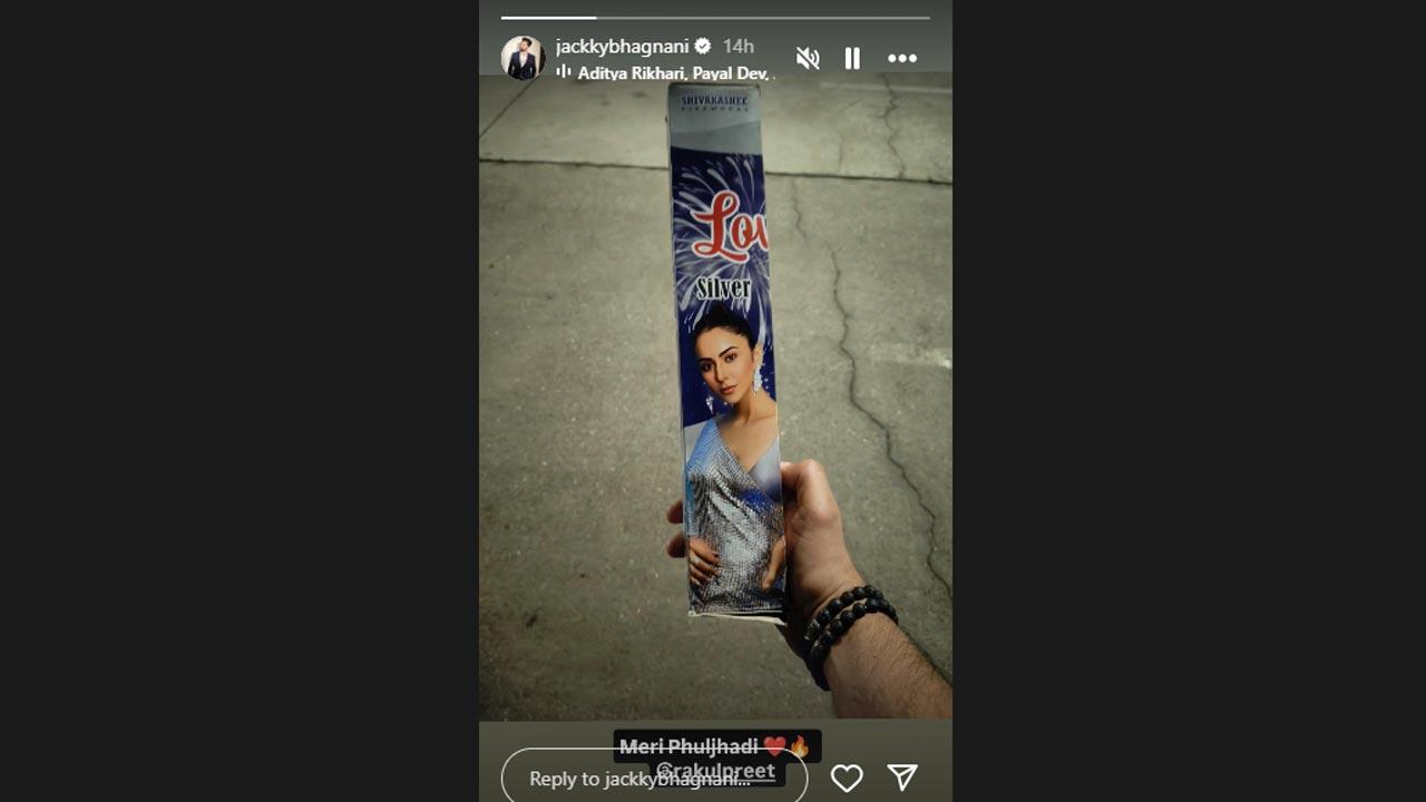 Picture Courtesy/Jackky Bhagnani`s Instagram account