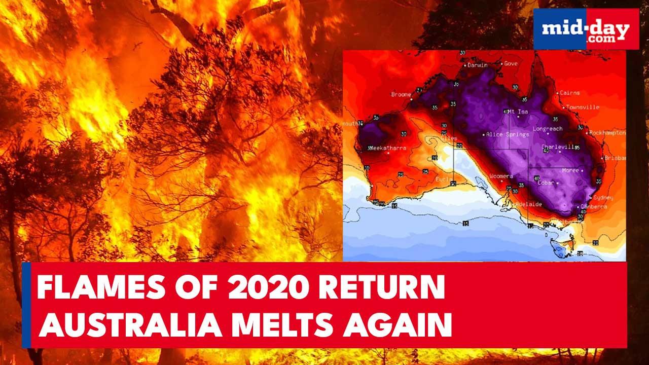 Australia & New Zealand Heatwave: Record Temperatures and Wildfires