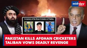 Pakistan breaks ceasefire, eight Afghan cricketers killed in deadly airstrikes