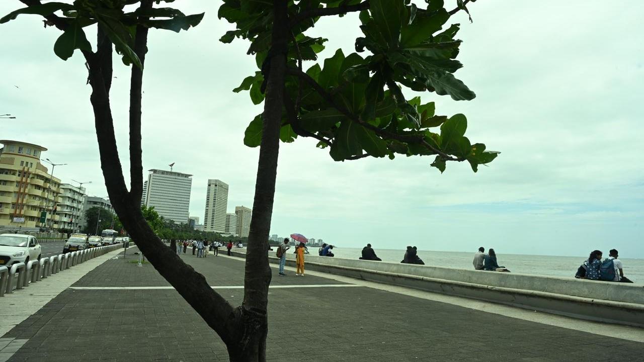 The IMD's Santacruz observatory recorded a maximum temperature of 31.7 degrees Celsius and a minimum of 24.2 degrees Celsius on Friday