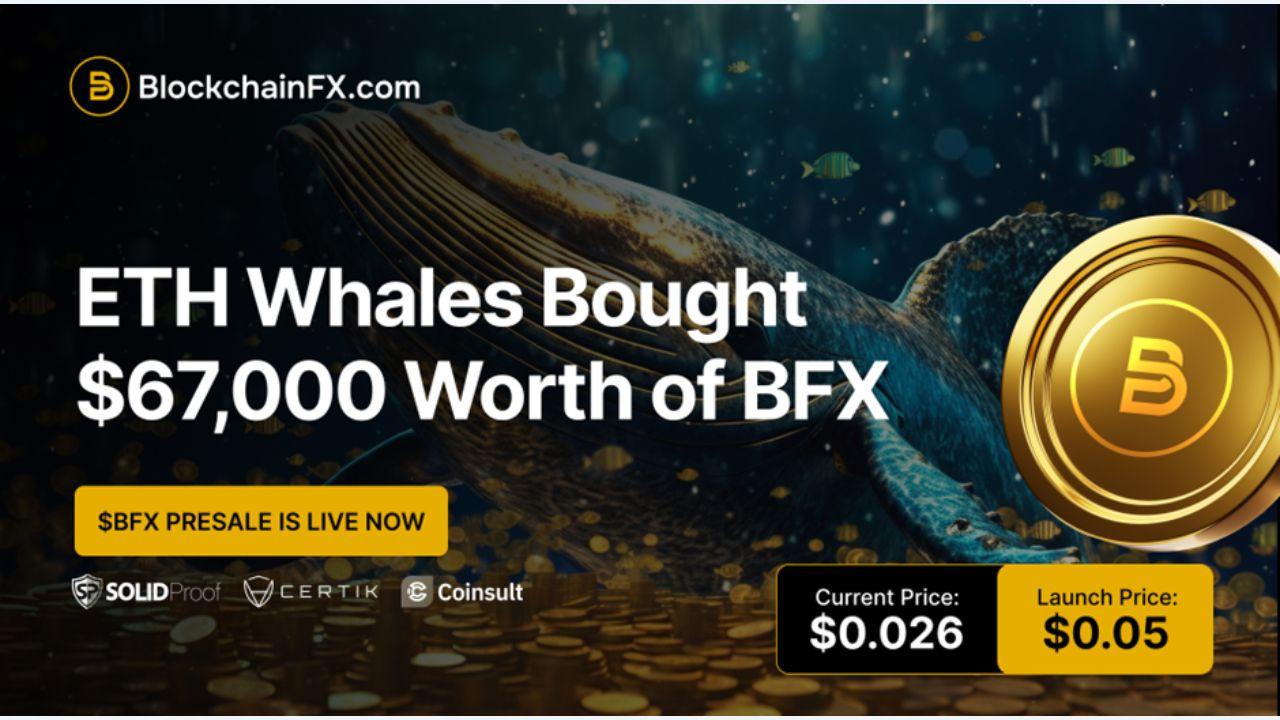 Stellar Creates Bullish Double Bottom - Analysts See Upside, But BlockchainFX Presale Looks Stronger