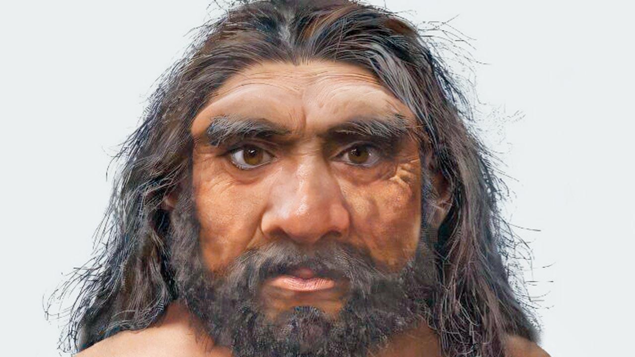 El cráneo antiguo podría cambiar la línea de tiempo de nuestra evolución