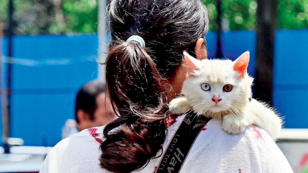 Mumbai Diary: Thursday Dossier