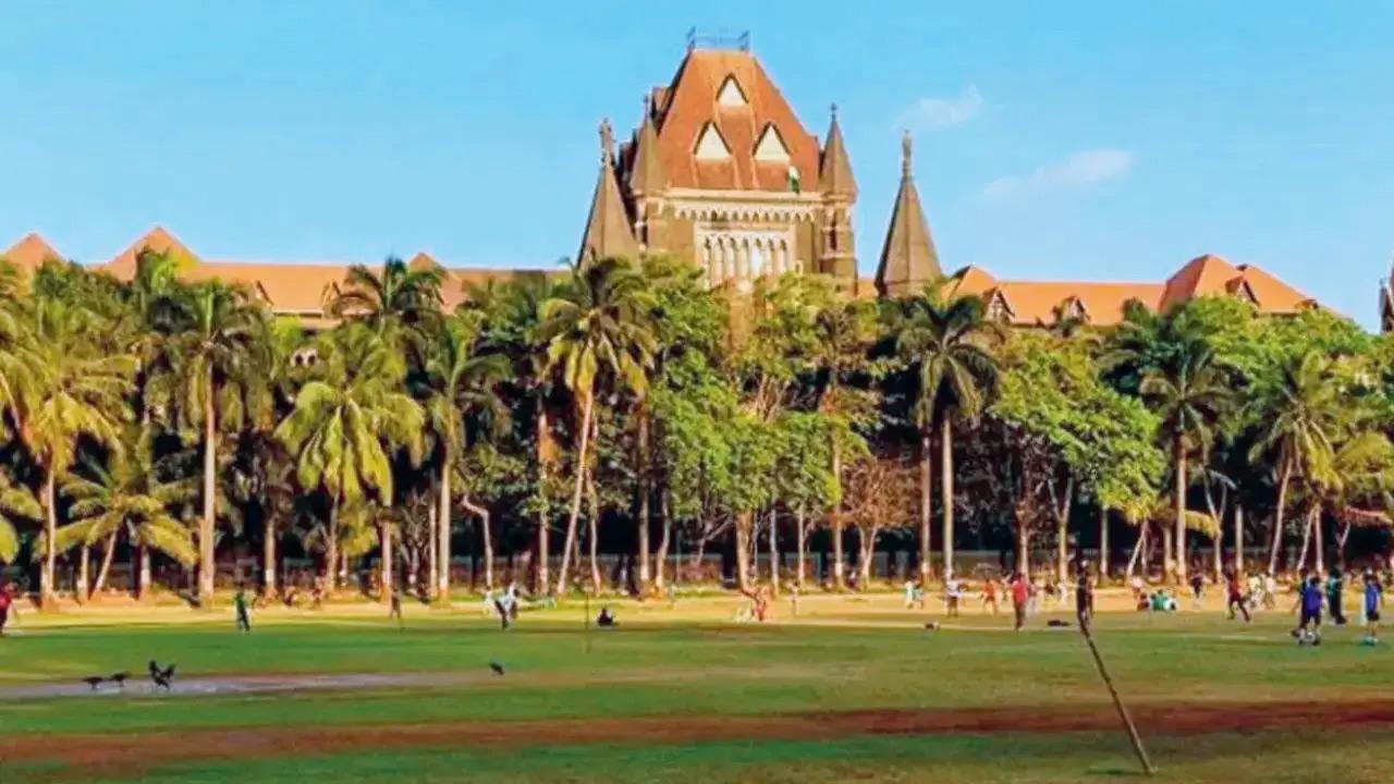 Time to leave the city’s trees alone and let them thrive