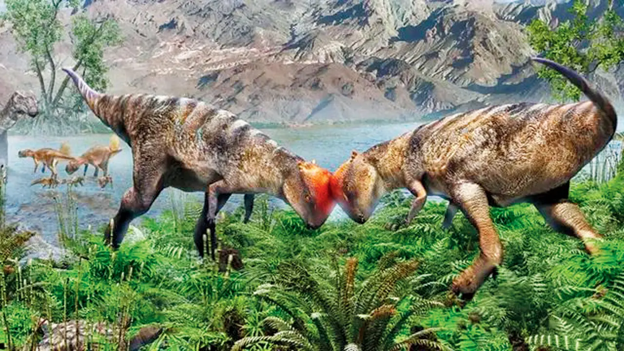 Relatively small, ‘dome-headed’ dinos headbutted to attract mates