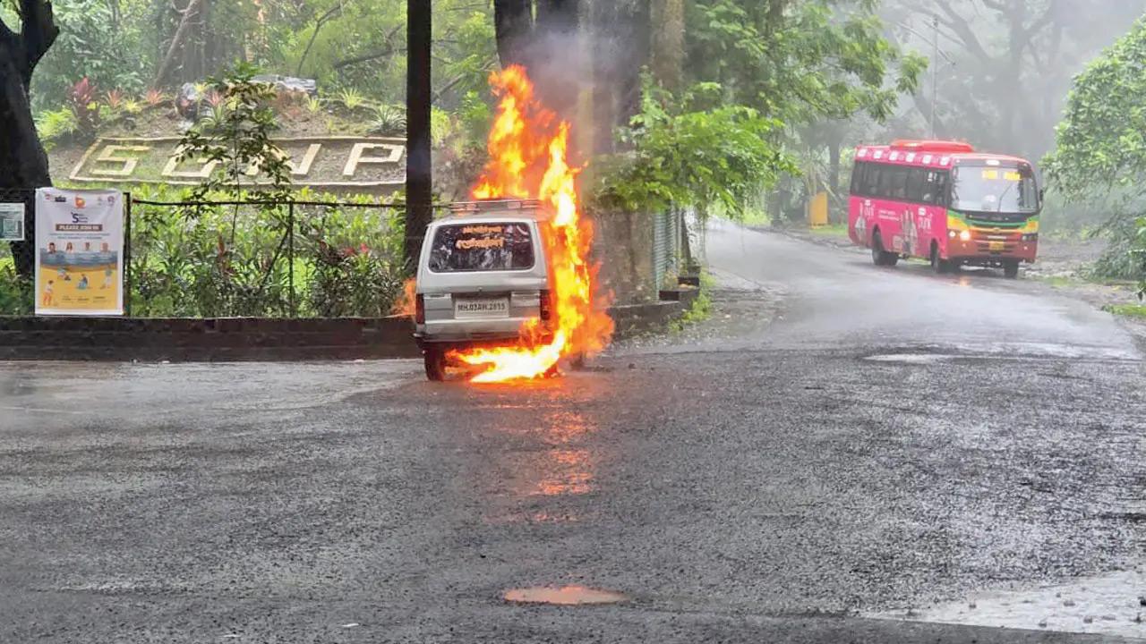 Sasta la amenaza ilegal de taxi en SGNP decisivamente