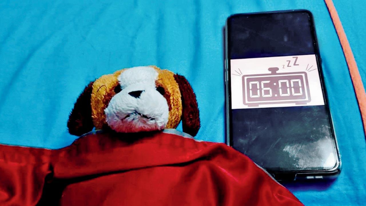 Bluey is one of the 70 plushies that Dvij gave his girlfriend and was a part of a photo essay/presentation that he made  in class