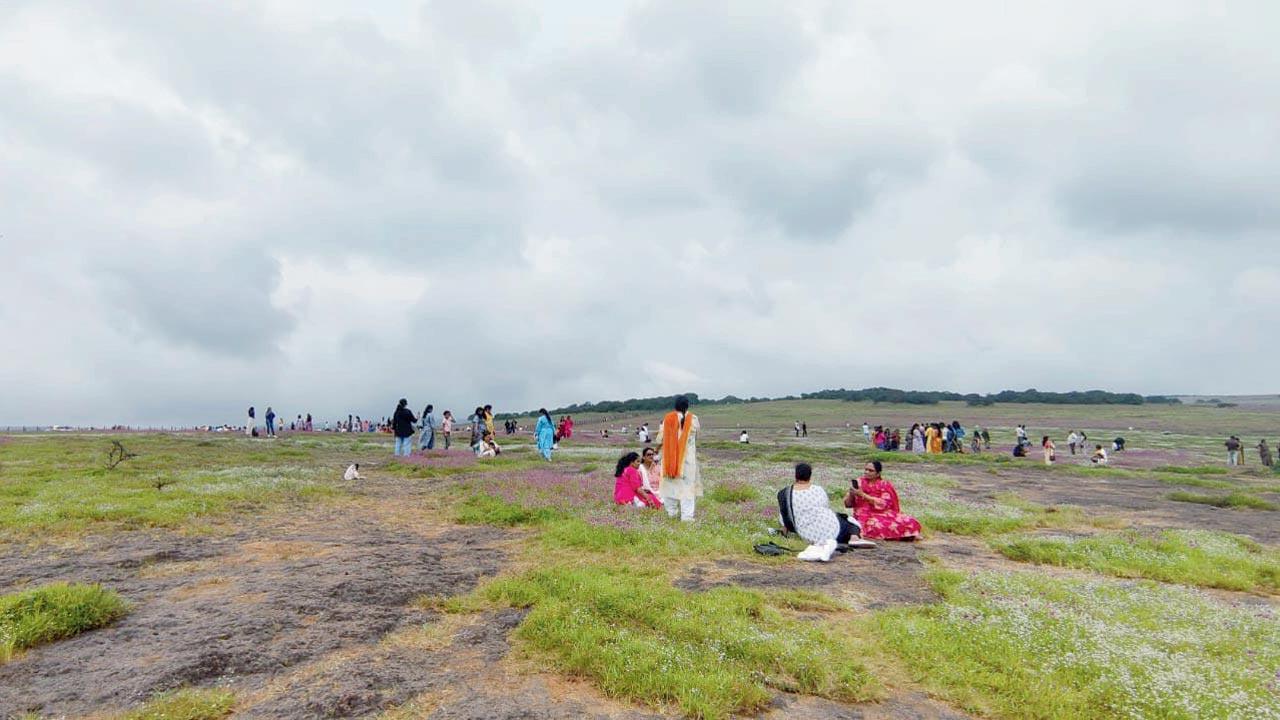 The number of people visiting the area has increased considerably