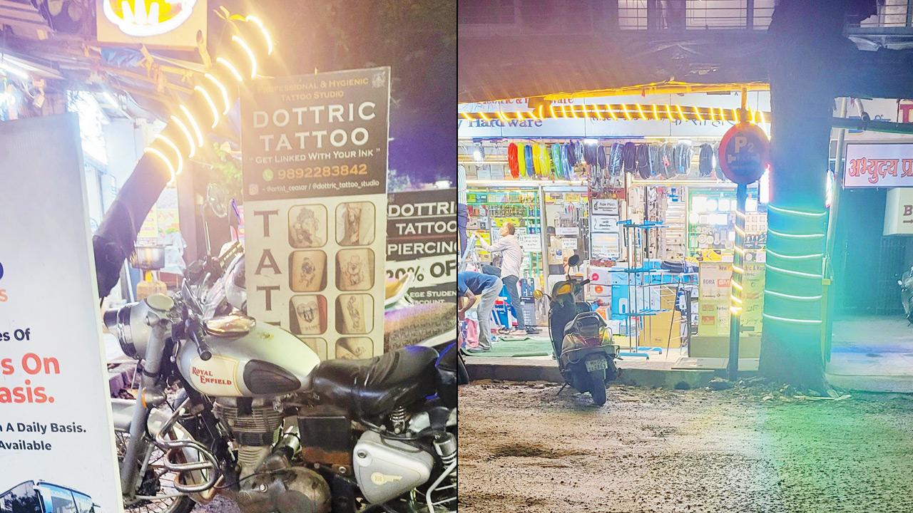 LED lights wrapped around trees. PICS/SHRIKANT KHUPERKAR