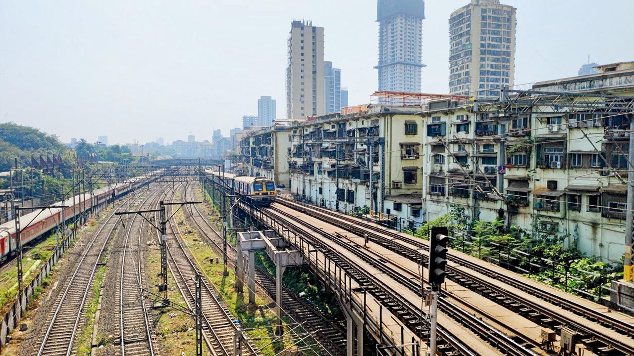 PIC/WIKIMEDIA COMMONS