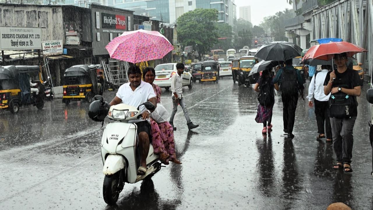 Lower (Modak Sagar), Middle and Upper Vaitarna lakes, along with Tansa, supply water to the western suburbs from Dahisar Check Naka to Bandra and to the western parts of the city from Mahim to Malabar Hill. PIC/SAYYED SAMEER ABEDI