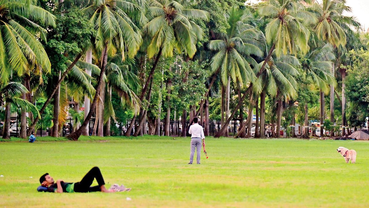 Mumbai Diary: Friday Dossier