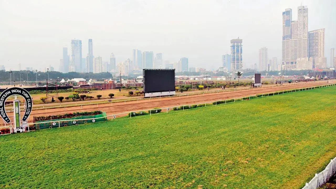 Baychimo dark horse for SA Poonawalla Million (Gr 3)