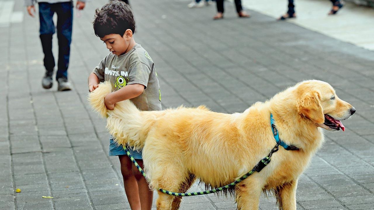 Mumbai Diary: Tuesday Dossier