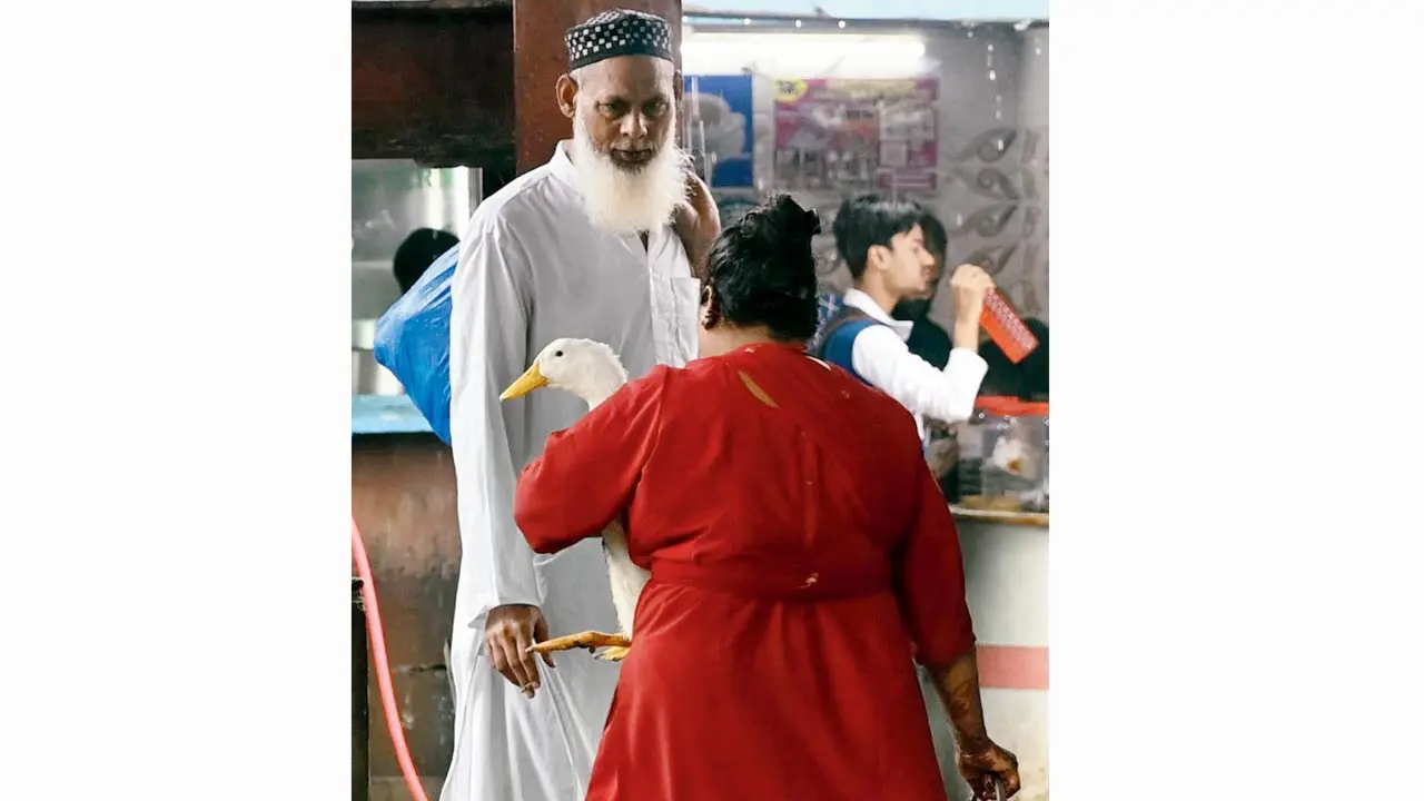 Mumbai Diary: Sunday Dossier