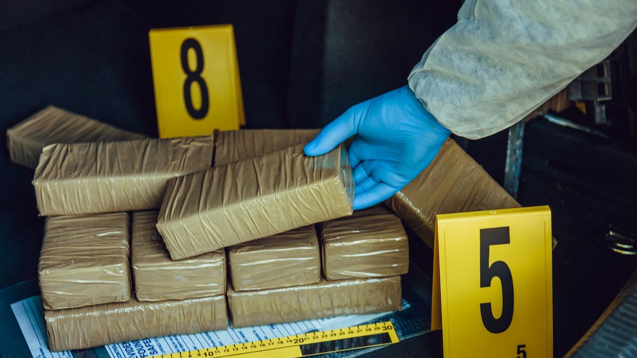 Maharashtra: Hashish worth Rs 1.1 cr seized in Thane district; one held