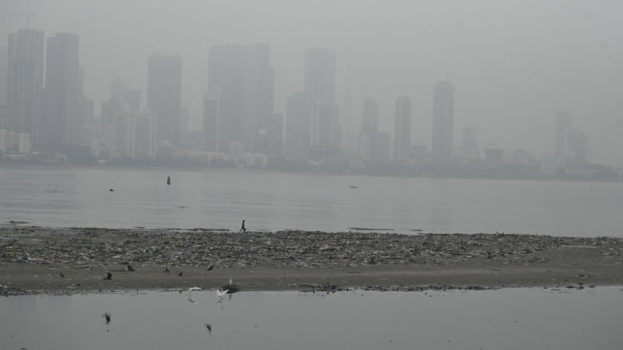 A yellow alert was been issued by the weather department for Tuesday