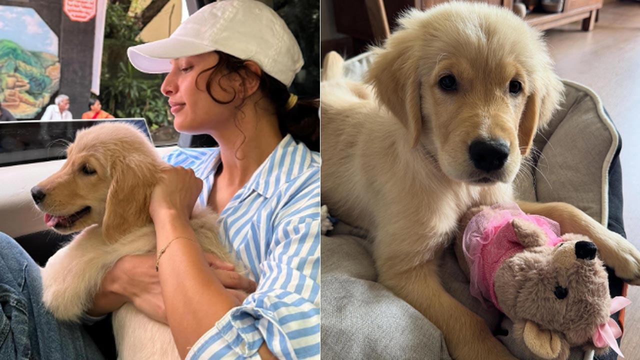 Triptii Dimri brings home her new fur baby Lychee: `Our family just got bigger`