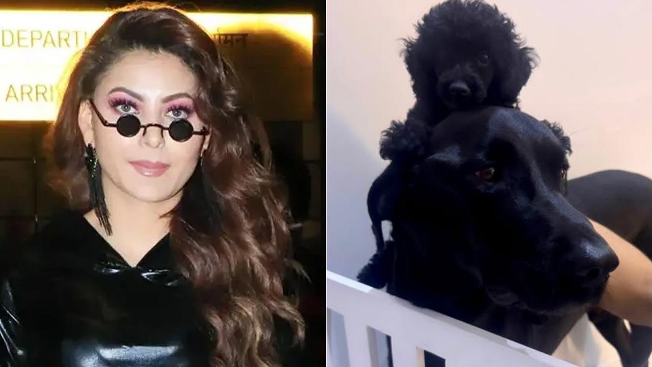 Urvashi Rautela introduces her new fur baby named Kylie Rautela: 'Animals are the purest souls'