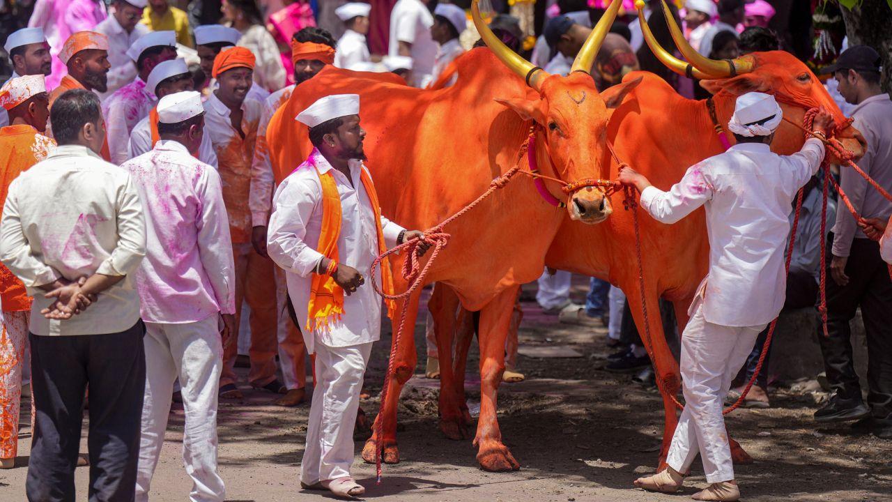 Under the open skies of Surur village in Satara district, Bagad Yatra comes alive with devotion, as fasting devotees take part in rituals and traditional chariot processions that reflect centuries-old agrarian beliefs