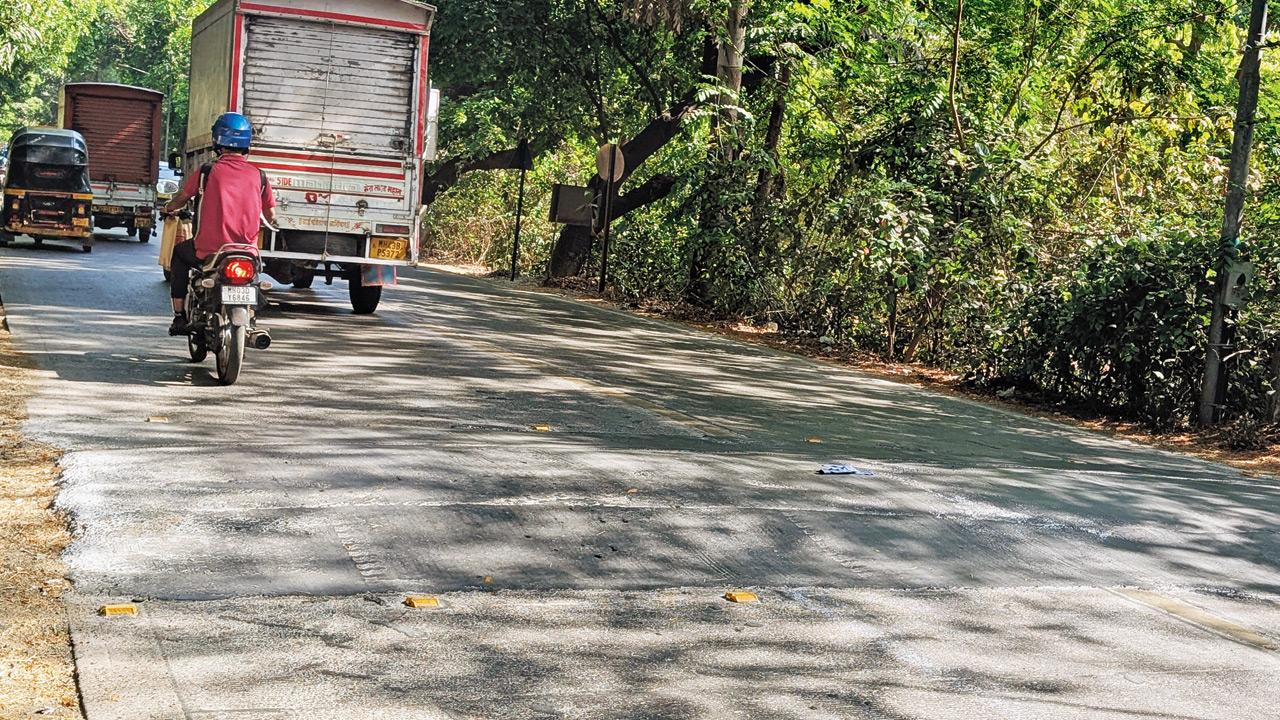Unmarked speed breakers on Aarey main road put motorists and wildlife at risk