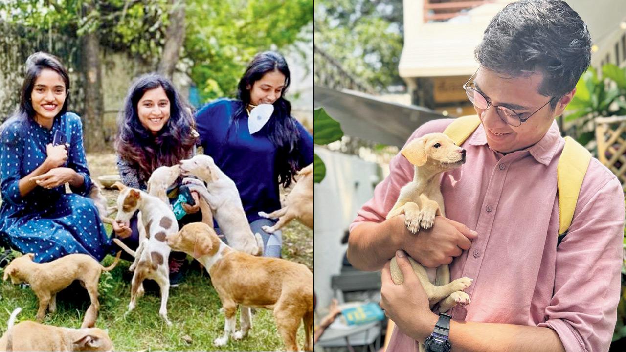 Participants gather with puppies. Pics Courtesy/Pawga