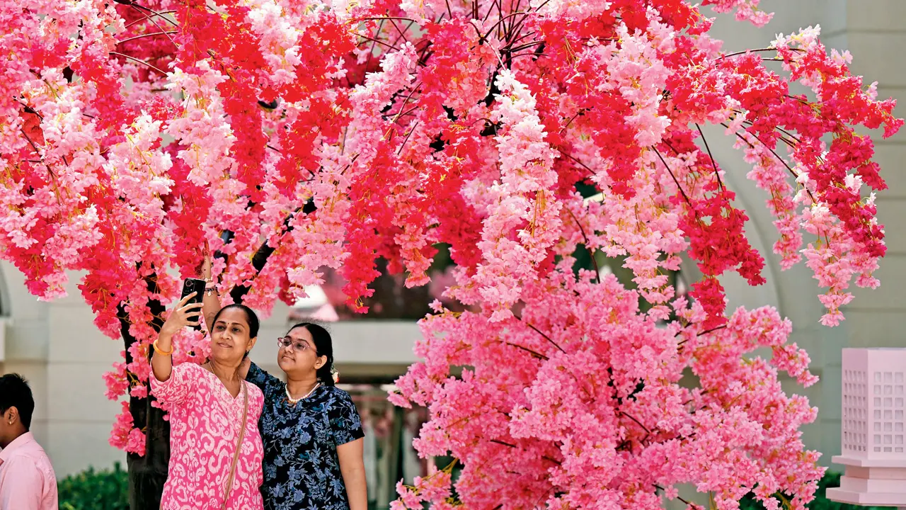 Mumbai Diary: Sunday Dossier